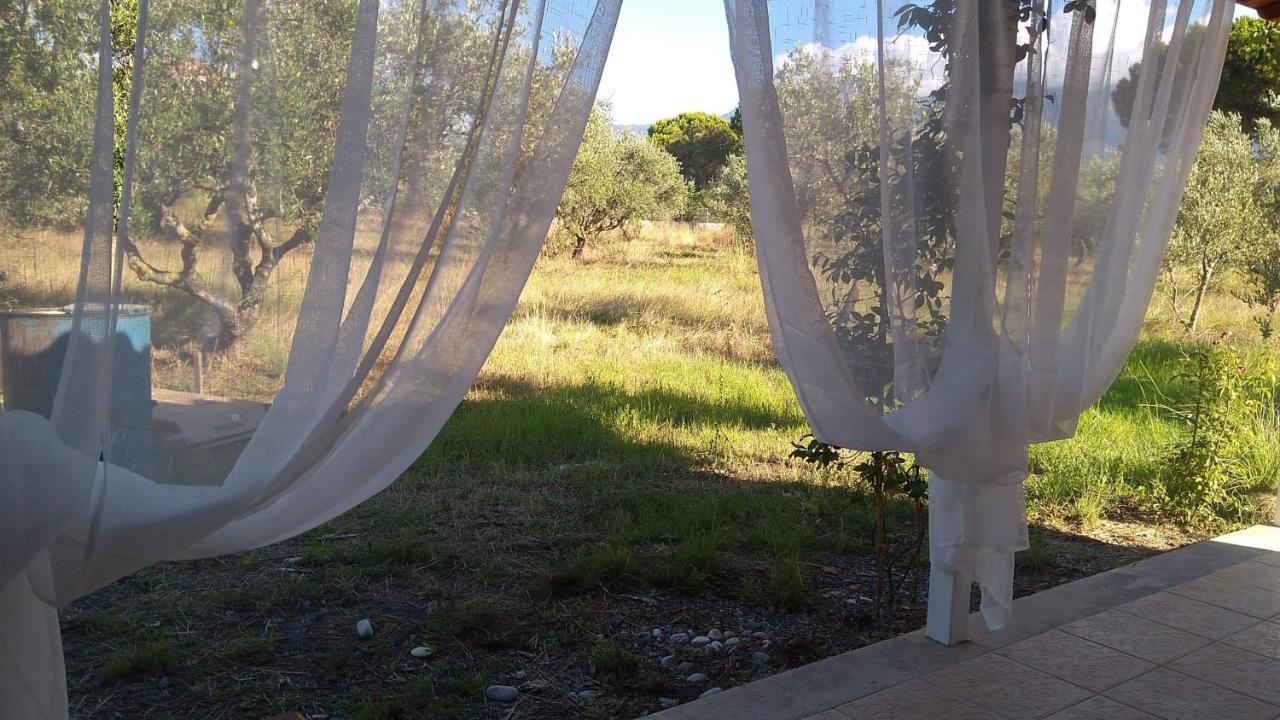 קיפריסיה Olive Garden Guest House מראה חיצוני תמונה