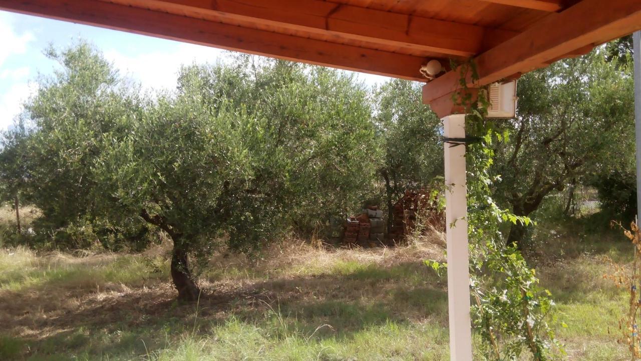 קיפריסיה Olive Garden Guest House מראה חיצוני תמונה