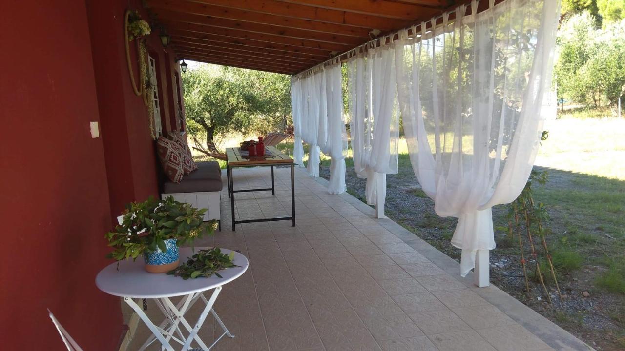 קיפריסיה Olive Garden Guest House מראה חיצוני תמונה