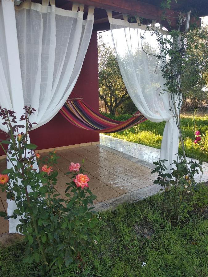 קיפריסיה Olive Garden Guest House מראה חיצוני תמונה