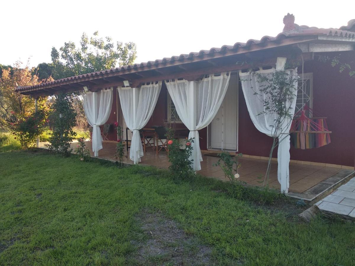 קיפריסיה Olive Garden Guest House מראה חיצוני תמונה
