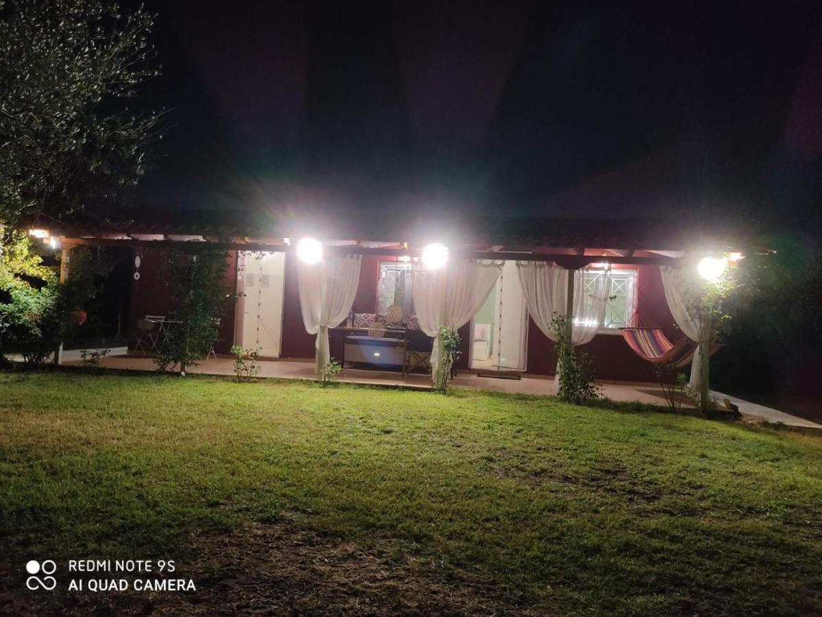 קיפריסיה Olive Garden Guest House מראה חיצוני תמונה